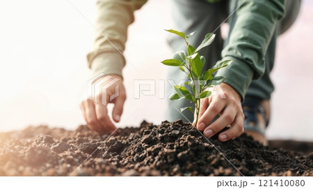 Close-up hands of gardener planting 121410080
