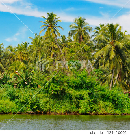 Mangroves and coconut palms on the shores of a picturesque lake. Concept - vacation and travel. Mangroves and coconut palms on the shores of a picturesque lake. Concept - vacation and travel. 121410092