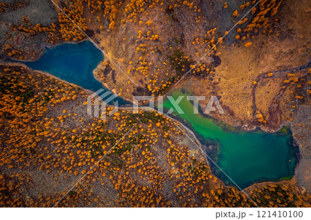 Aerial view of autumn forest and winding river in Altai mountains 121410100