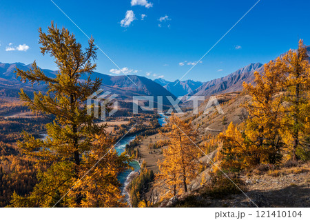 Beautiful autumn mountain landscape with river and golden trees under clear sky 121410104
