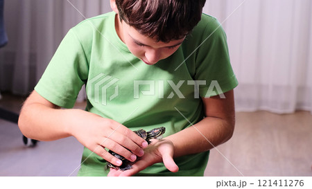child looks intently at a small turtle resting in his hands, showing his gentle connection with his pet. This image highlights the bond between children and animals, representing care and curiosity. 121411276