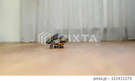 A turtle balances on a small skateboard, rolling across a wooden floor in a humorous and unexpected way. This image highlights the fun and creative side of having exotic pets. 121411278