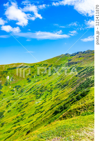 The lush green hills of Low Tatras National Park in Slovakia showcase breathtaking natural beauty. This serene landscape invites exploration and offers stunning views under a clear blue sky. 121411870