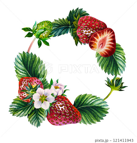 Strawberry. Round frame with strawberries, with leaves. Handmade watercolor illustration. Botanical drawing. Highlight it. Realistic botanical painting. For packaging, labels and flyers, and stickers. Strawberry. Round frame with strawberries, with leaves. Handmade watercolor illustration. Botanical drawing. Highlight it. Realistic botanical painting. For packaging, labels and flyers, and stickers. 121411943