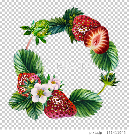 Strawberry. Round frame with strawberries, with leaves. Handmade watercolor illustration. Botanical drawing. Highlight it. Realistic botanical painting. For packaging, labels and flyers, and stickers. Strawberry. Round frame with strawberries, with leaves. Handmade watercolor illustration. Botanical drawing. Highlight it. Realistic botanical painting. For packaging, labels and flyers, and stickers. 121411943