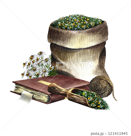 Pharmacy chamomile. Dry crushed medicinal herb in a canvas bag. A wooden spoon with dried herbs and a recipe book. Handmade watercolor illustration. For pharmaceuticals and cosmetology. Pharmacy chamomile. Dry crushed medicinal herb in a canvas bag. A wooden spoon with dried herbs and a recipe book. Handmade watercolor illustration. For pharmaceuticals and cosmetology. 121411945
