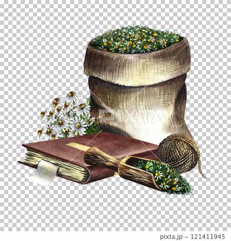 Pharmacy chamomile. Dry crushed medicinal herb in a canvas bag. A wooden spoon with dried herbs and a recipe book. Handmade watercolor illustration. For pharmaceuticals and cosmetology. 121411945