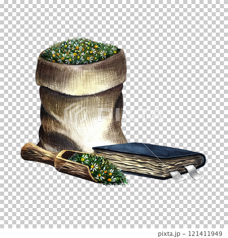 Pharmacy chamomile. Dry crushed medicinal herb in a canvas bag. A wooden spoon with dried herbs and an old recipe book. Hand-drawn watercolor illustration. For pharmaceuticals and cosmetology. 121411949