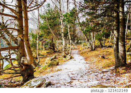 Autumn forest of Sant Maurici Lake with snowy path in Aigues Tortes National Park, in the Pyrenees of Lleida, Catalonia, Spain Autumn forest of Sant Maurici Lake with snowy path in Aigues Tortes National Park, in the Pyrenees of Lleida, Catalonia, Spain 121412149