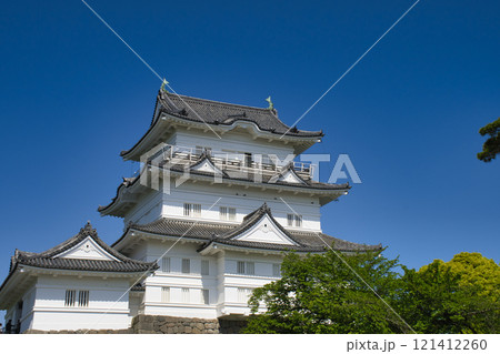 【神奈川県】小田原城　天守閣 121412260