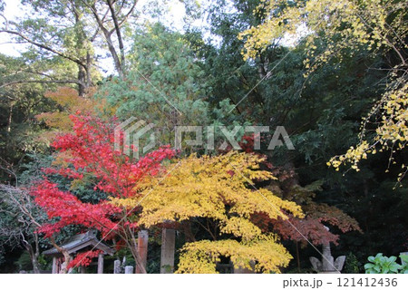 宗像市の鎮国寺の紅葉した境内風景 121412436