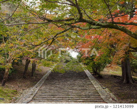 東大寺猫段の紅葉 東大寺猫段の紅葉 121413099