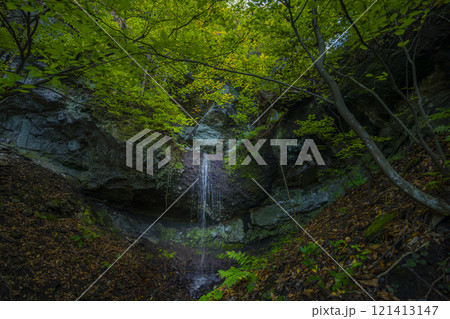 長野県小諸市布引山　釈尊寺の秋の風景 121413147