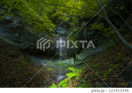 長野県小諸市布引山　釈尊寺の秋の風景 121413148