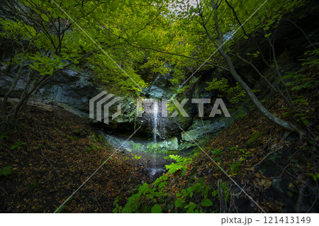 長野県小諸市布引山　釈尊寺の秋の風景 121413149