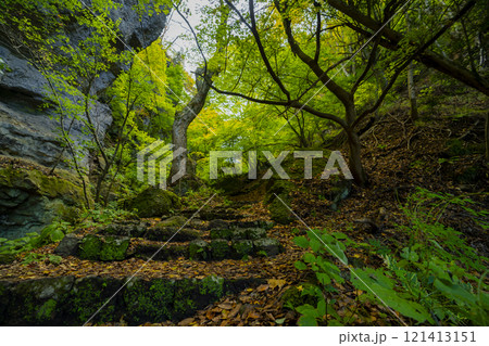 長野県小諸市布引山 釈尊寺の秋の風景 長野県小諸市布引山 釈尊寺の秋の風景 121413151