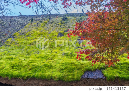 苔むした合掌造りの茅葺屋根とカラフルな紅葉のコラボ情景 苔むした合掌造りの茅葺屋根とカラフルな紅葉のコラボ情景 121413187