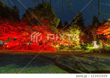 ライトアップされた紅葉 ライトアップされた紅葉 121413329