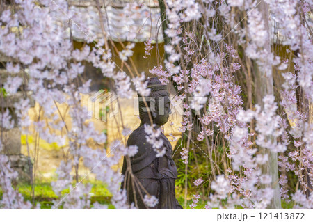 春の京都　醍醐寺　霊宝館の枝垂れ桜と仏像 121413872