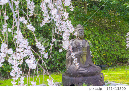 春の京都　醍醐寺　霊宝館の枝垂れ桜と仏像 121413890