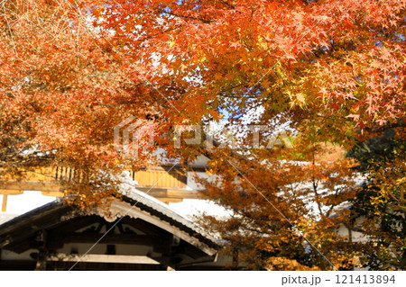 京都大原　三千院紅葉 121413894