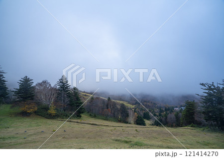 長野県 群馬県 渋峠周辺の秋の風景 長野県 群馬県 渋峠周辺の秋の風景 121414270