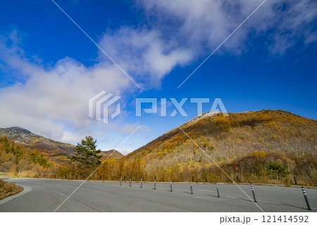 群馬県嬬恋村　湯の丸高原の秋の風景 121414592