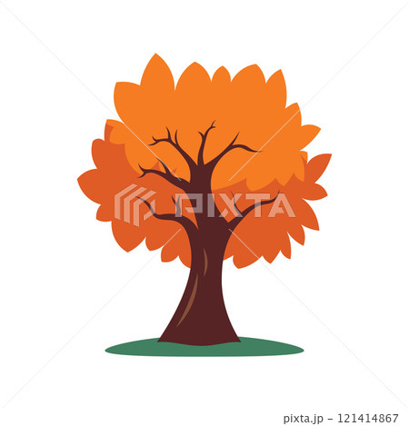 Natural Orange Tree in Forest in Autumn Fall Season Natural Orange Tree in Forest in Autumn Fall Season 121414867