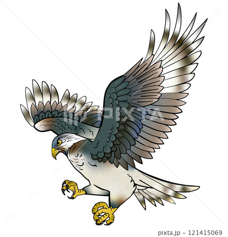鷹 鷹 121415069