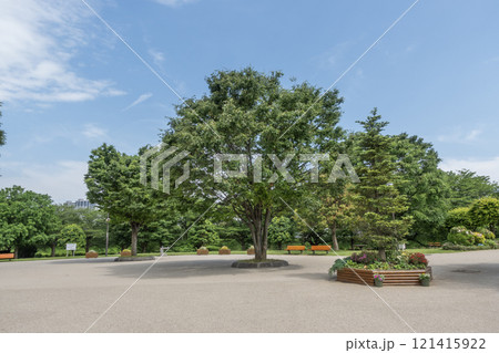 神奈川県立相模三川公園　神奈川県海老名市上郷 121415922