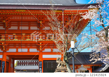 京都　八坂神社　南楼門　春の風景　(京都府京都市東山区） 121415924
