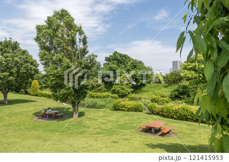 神奈川県立相模三川公園　神奈川県海老名市上郷 121415953