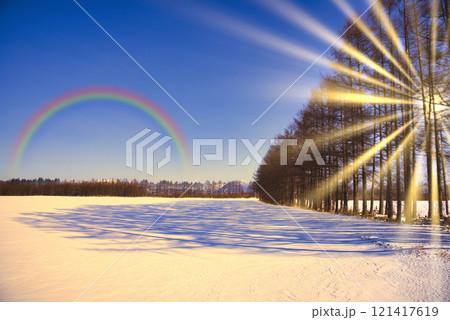 厳冬期の道東地方の美しい雪景色 121417619