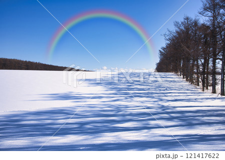 厳冬期の道東地方の美しい雪景色 厳冬期の道東地方の美しい雪景色 121417622