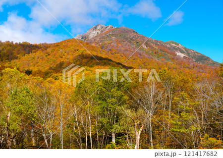 雨飾山の紅葉 121417682