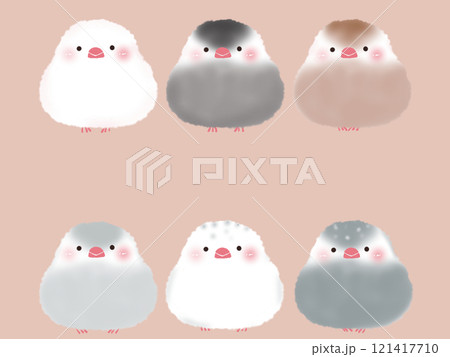 ゆるふわ文鳥の素材セット 121417710