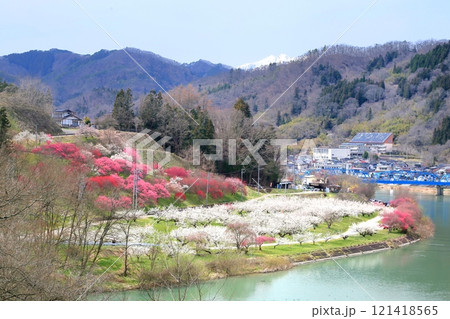 信州新町ろうかく梅園 121418565