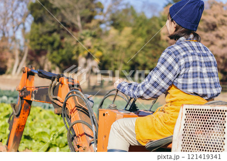 畑で野菜を収穫する女性 121419341