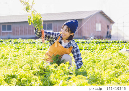 畑で野菜を収穫する女性 121419346