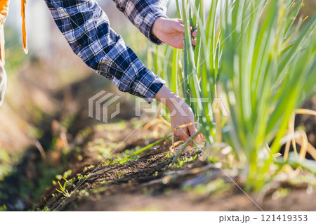 農家　農業 121419353