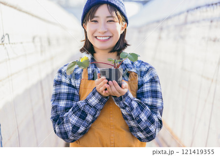 いちご農家 121419355