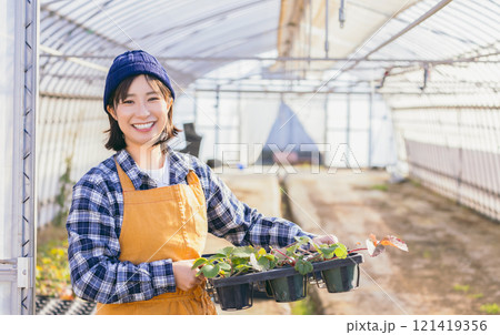 いちご農家 121419356