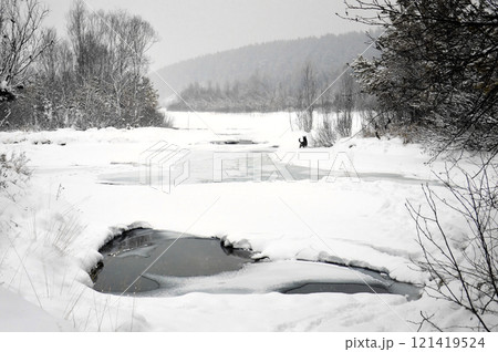 Winter landscape with frozen river, forest and cloudy sky in the background. Black dog walks along the snowy river bank.  Russia, Siberia 121419524