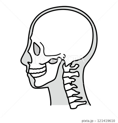 頭蓋骨　横顔　左向き　白黒 121419610