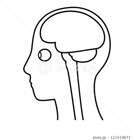 脳　頭頂部　左向き　脳と眼球　白黒 121419671