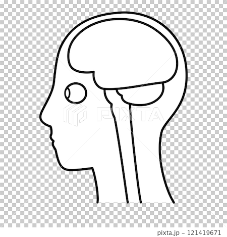 脳　頭頂部　左向き　脳と眼球　白黒 121419671