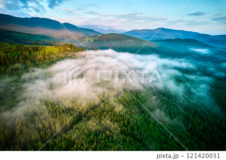 Stunning aerial view of dense forest blanketed in morning mist, with rolling green hills and distant mountains under pastel sky. Mist creates dreamy atmosphere, softening landscape's features. 121420031