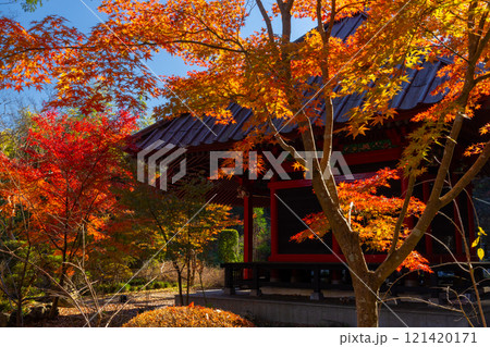 栃木県芳賀郡益子町大沢の紅葉の名所 浄土宗(旧)名越派総本山の大沢山虎渓院圓通寺境内の紅葉 栃木県芳賀郡益子町大沢の紅葉の名所 浄土宗(旧)名越派総本山の大沢山虎渓院圓通寺境内の紅葉 121420171