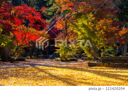 栃木県芳賀郡益子町大沢の紅葉の名所　浄土宗(旧)名越派総本山の大沢山虎渓院圓通寺境内の紅葉 121420204
