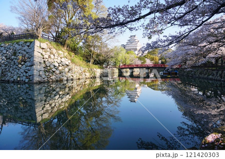 満開の桜がせり出すお堀に写る逆さ姫路城の春景色 121420303